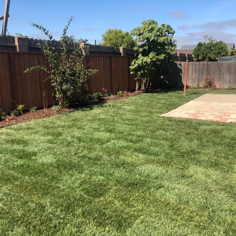 Lawn Care & Maintenance